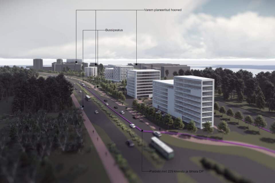 Paldiski mnt 229 detailplaneeringu eskiis.